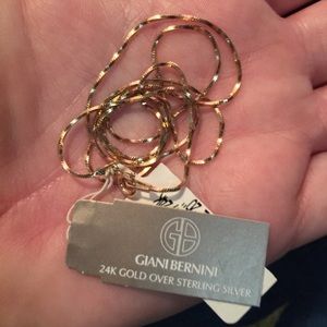 24k Giani Bernini 20” necklace